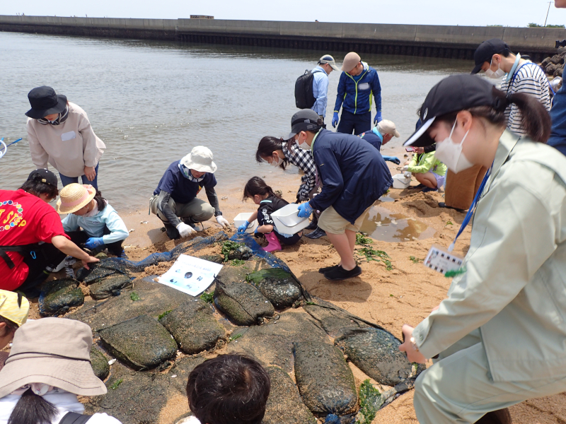 ネットの周りにどんな生き物がいるのか探索！