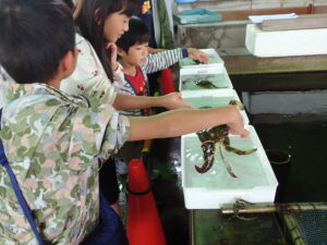 四日市の海の生きものたち学習会を開催しました ~アサリと魚といのちのつながり~